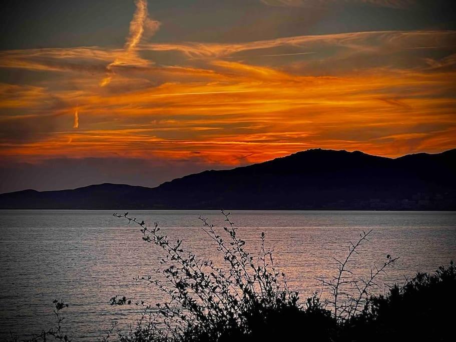 Villa Proche Ajaccio Et Mer Exclusive 2 A 10 Voyageurs Bastelicaccia 외부 사진