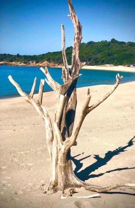 Villa Proche Ajaccio Et Mer Exclusive 2 A 10 Voyageurs Bastelicaccia 외부 사진
