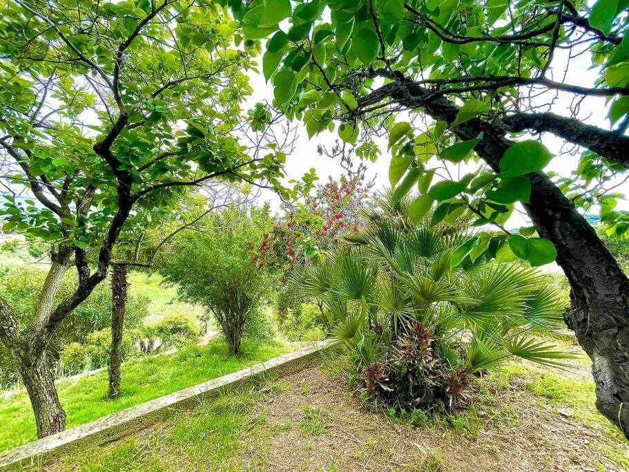 Villa Proche Ajaccio Et Mer Exclusive 2 A 10 Voyageurs Bastelicaccia 외부 사진